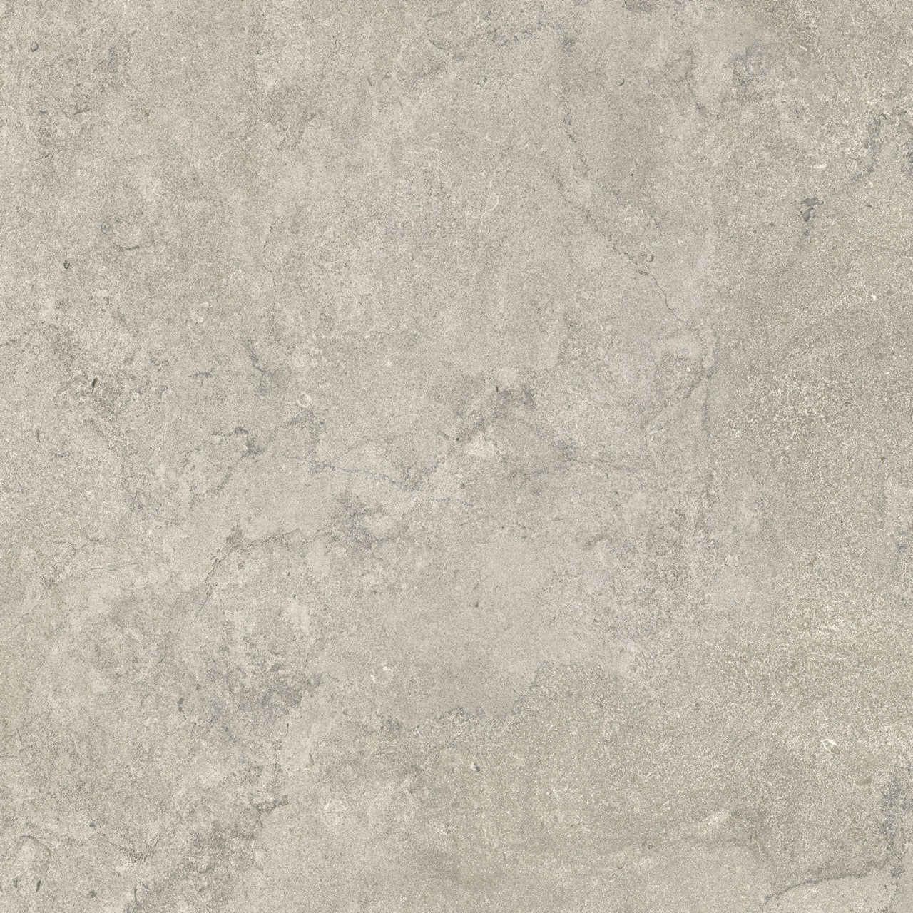 Ceramiche Caesar Portraits Newport 80x80 Matt RT R10 B Touch Plus