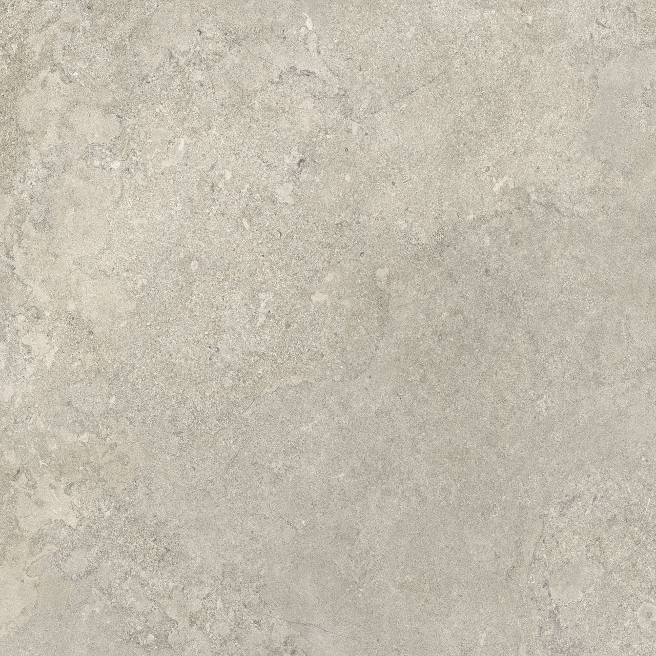Ceramiche Caesar Portraits Newport 120x120 Matt RT R10 B Touch Plus