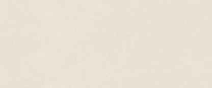 Atlas Concorde Boost Natural Pro Salt 50x120 Matt 8,5 mm