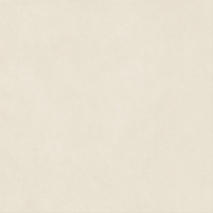 Atlas Concorde Boost Natural Pro Salt 120x120 Velvet