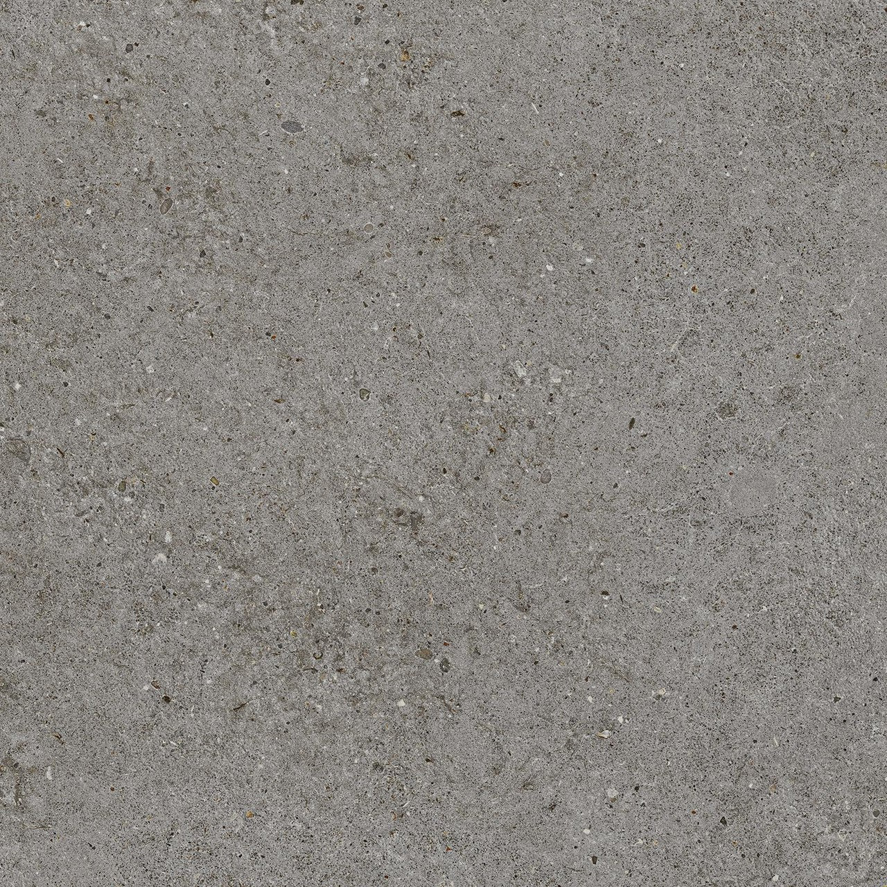 Atlas Concorde Boost Stone Smoke 60x60 Matt Sensitech