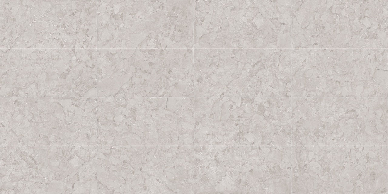 Grespania Aracruz Gris 60x120